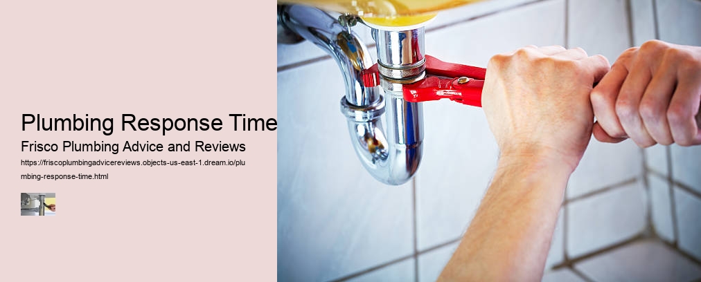 Plumbing Response Time